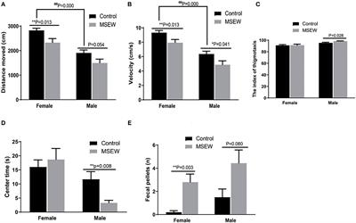 Early-Life Neglect Alters Emotional and Cognitive Behavior in a Sex-Dependent Manner and Reduces Glutamatergic Neuronal Excitability in the Prefrontal Cortex